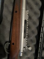 IMG_5445.jpeg