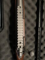 IMG_5446.jpeg
