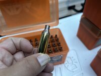 IMG_4369.jpeg