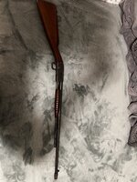 IMG_3409.jpeg