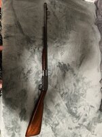 IMG_3410.jpeg