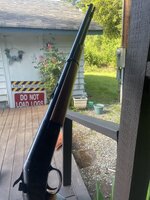 IMG_6275.jpeg