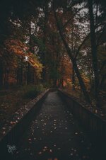 IMG_4036.jpeg
