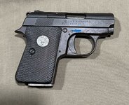 Colt Junior (2).JPEG