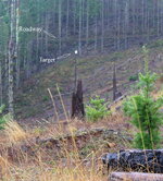 Gooseneck Rd 11.jpg