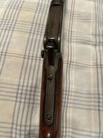 IMG_7630.JPEG