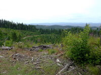 DSCF7824.JPG