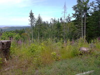 DSCF7825.JPG