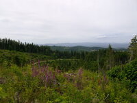 DSCF7845.JPG