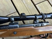 IMG_7708.JPEG