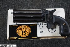 11266407_01_leinad_mr_22mag_pepperbox_10_s_640.jpg