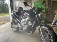 IMG_2716.jpeg
