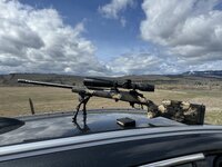 IMG_8049.jpeg