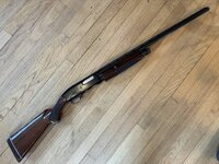 IMG_1692.jpeg