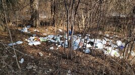 litter-in-parks-canada-administered-sites.jpg