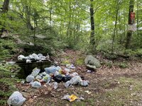 IMG_3052.jpg