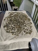 IMG_2195.jpeg