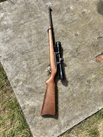 IMG_1583.jpeg