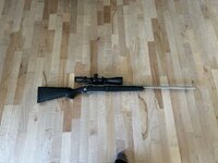 IMG_7205.jpeg