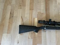 IMG_7206.jpeg