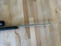 IMG_7208.jpeg