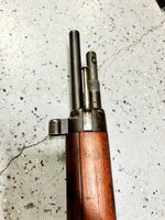 IMG_1703.jpeg