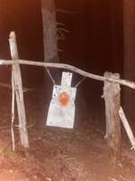IMG_7233.jpeg