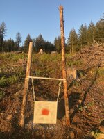 IMG_7059.jpeg
