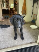 IMG_5021.jpeg