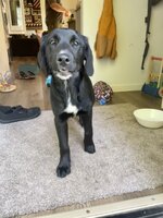 IMG_5021.jpeg