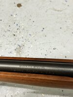 IMG_1864.jpeg
