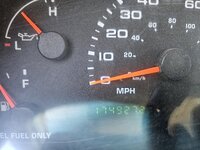 1000011387.jpg