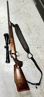 IMG_1900.jpeg