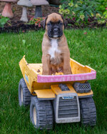 Nala-18.jpg