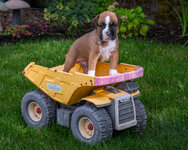 Baxter-20.jpg