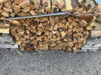 IMG_1313.jpeg