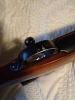IMG_20240716_130401971.jpg