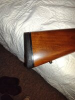 IMG_20240716_130319959.jpg