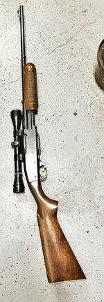 IMG_2128.jpeg