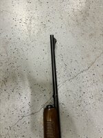 IMG_2133.jpeg