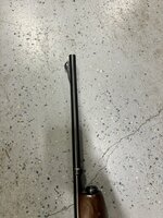 IMG_2134.jpeg