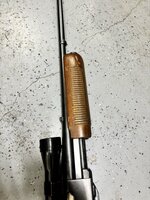 IMG_2135.jpeg