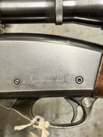 IMG_2139.jpeg