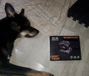 20240713_094757.jpg