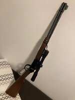 IMG_5008.jpeg