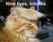 IMG_2672.jpeg
