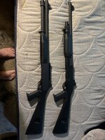 IMG_2260.jpeg