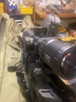 IMG_7385.jpeg
