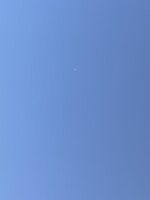 IMG_2416.jpeg