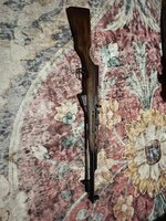 IMG_6244.jpeg
